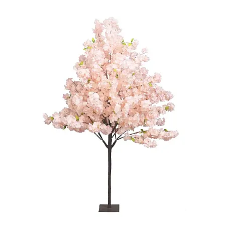 images/uploads/22218/thumb_22016 web.webp